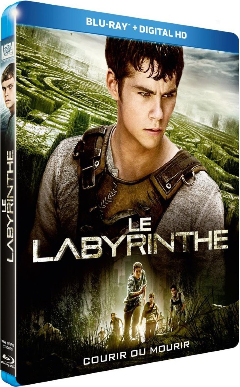 Agrandir l'image  Le labyrinthe